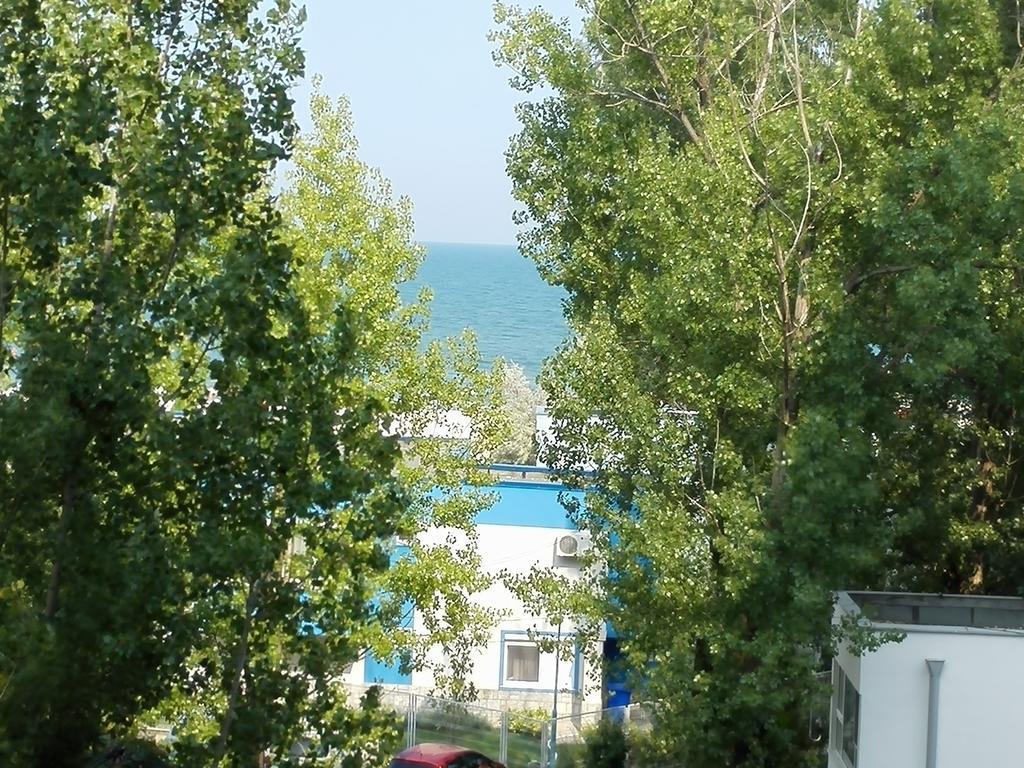 Blue Bike Studio Mamaia Oda fotoğraf